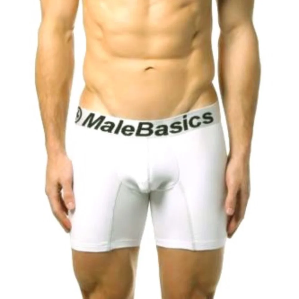 2 Pair WHITE Boxer Briefs XL Male Basics NWT! Silver Waistband $72 retail